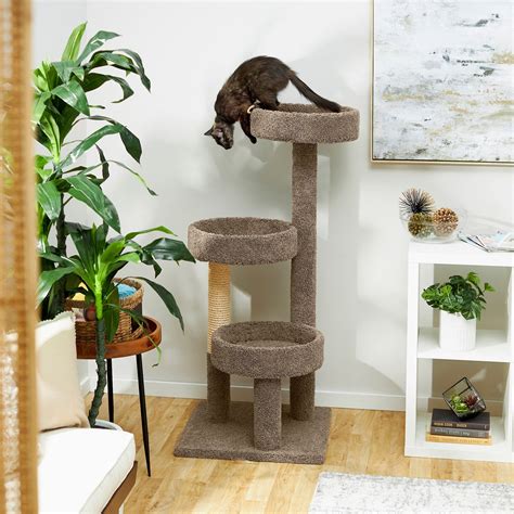 35-inch dual-perch <b>cat</b> <b>tree</b> includes a round platform on top and tunnel at the bottom. . Chewy cat tree